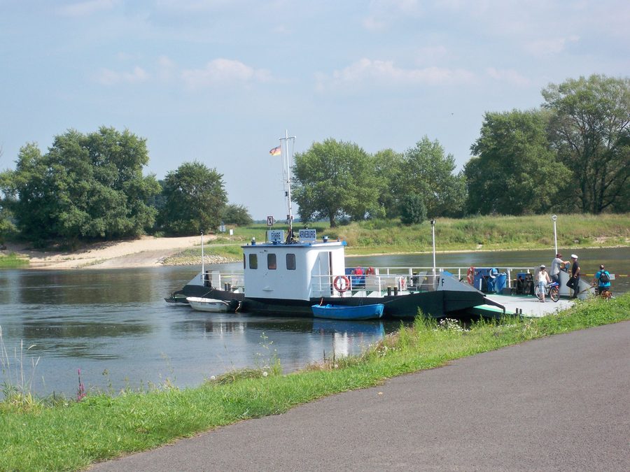 Fähre über die Elbe bei Arneburg in Sachsen-Anhalt