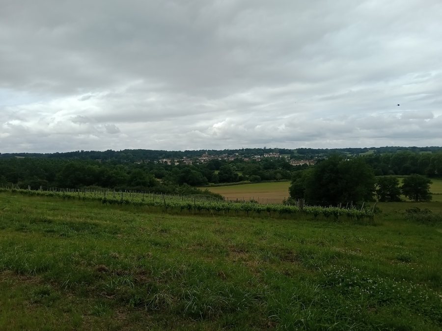 File:Nogaro @ Pouy de Bouit.jpg