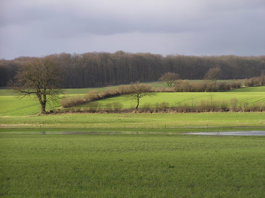 Knicklandschaft bei Köthel mit der Bille zwischen Stormarn und Herzogtum Lauenburg