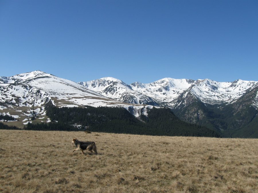 Blick auf den Hauptkamm des Parâng-Gebirges in Rumänien
