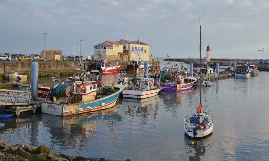 File:Port de la Cotinière.jpg