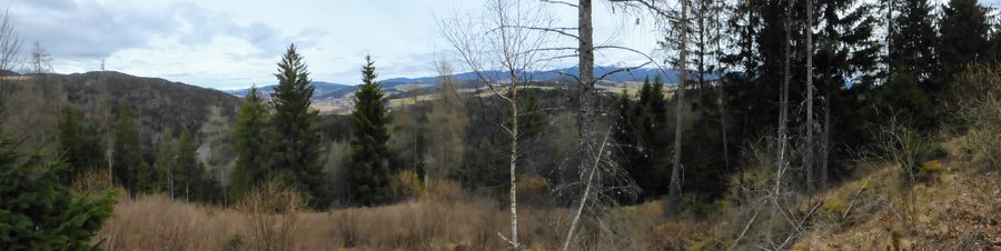 Vista dalla rovina di Hohenwart sul paesaggio presso Mühlen e il Grebenzen