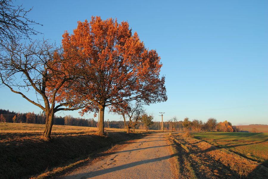Blick über Křešín im Bezirk Pelhřimov