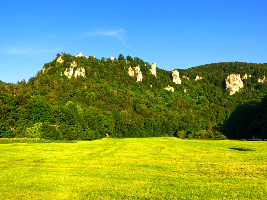 Paesaggio dell’Alta Valle del Danubio con pendii boscosi