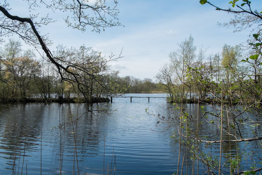 Elsburger Onland vanaf de Groningerweg