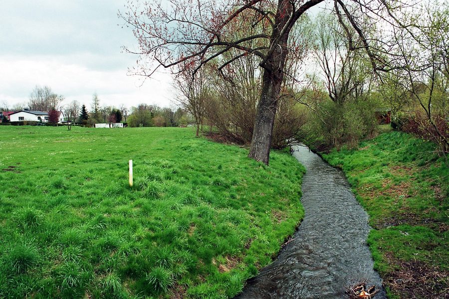 La Sülze a Dodendorf nel Sülzetal