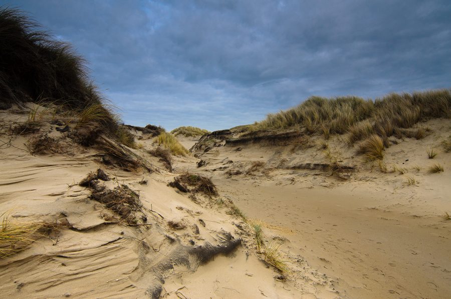 Itinerario tra le dune vicino a Egmond aan Zee con sabbia costiera e vegetazione