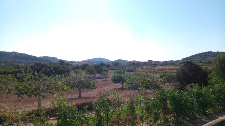 File:Son Macià.jpg