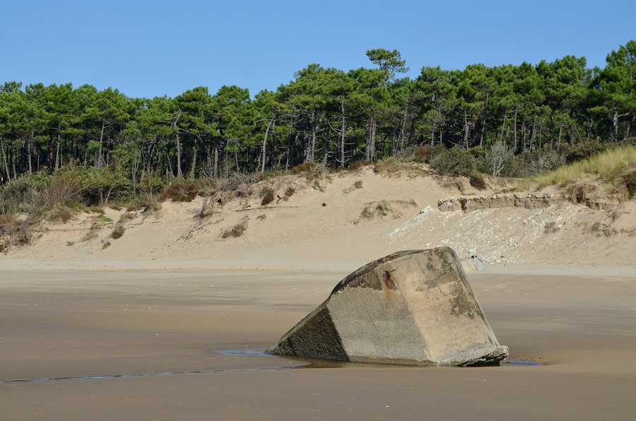 File:Saint-Palais-sur-Mer 17 Grande Côte Forêt&restes blockhauss 2014.jpg