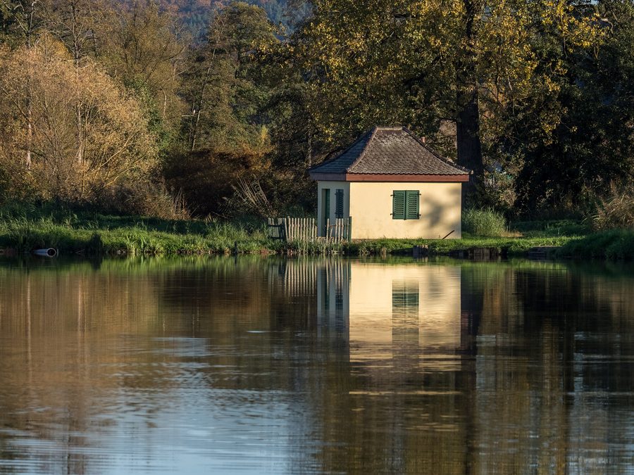 Lago per l’allevamento delle carpe con capanno da pescatore a Stegaurach