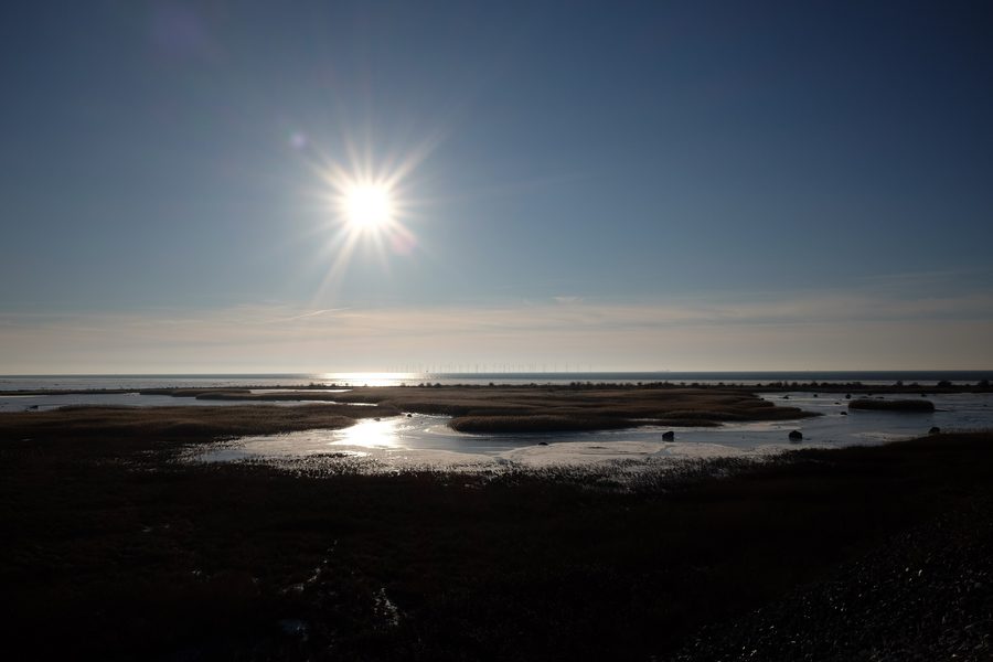 Blick über den Öresund auf Bunkeflo strandängar und Bunkeflostrand