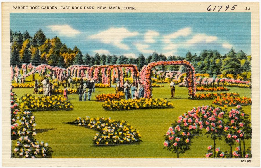Pardee Rose Garden in East Rock Park, New Haven, Connecticut