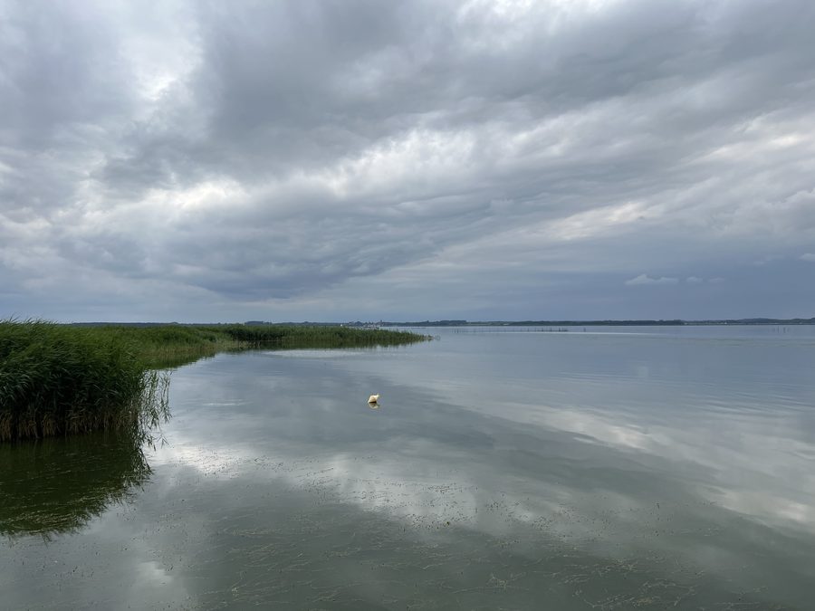 Blick auf den Peenestrom bei Usedom