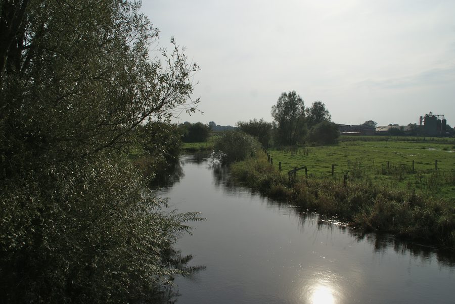 Die Treene bei Sollbrück-Hünning an der Grenze der Gemeinden Sollerup und Silberstedt