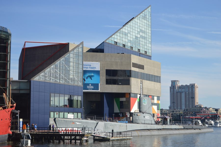 National Aquarium in Baltimore am Inner Harbor