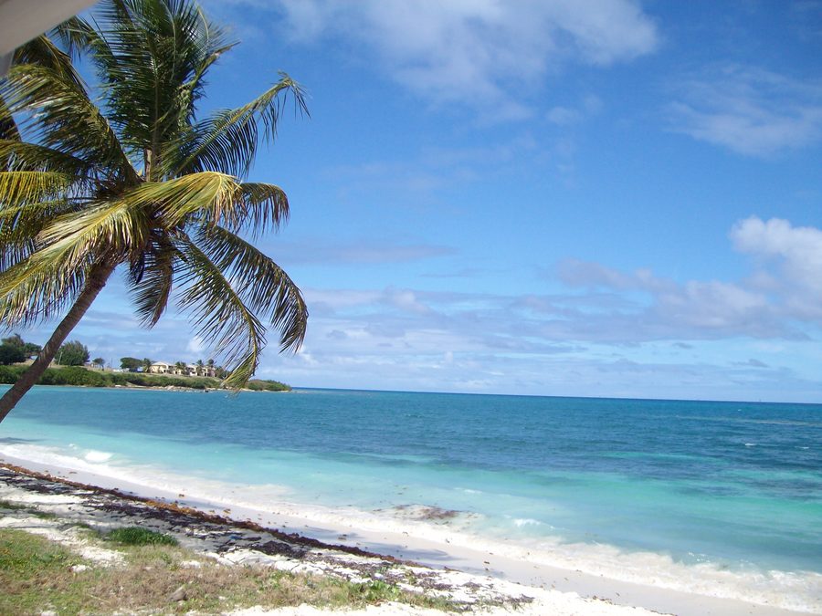 Dutchman's Bay in Saint George, Antigua and Barbuda