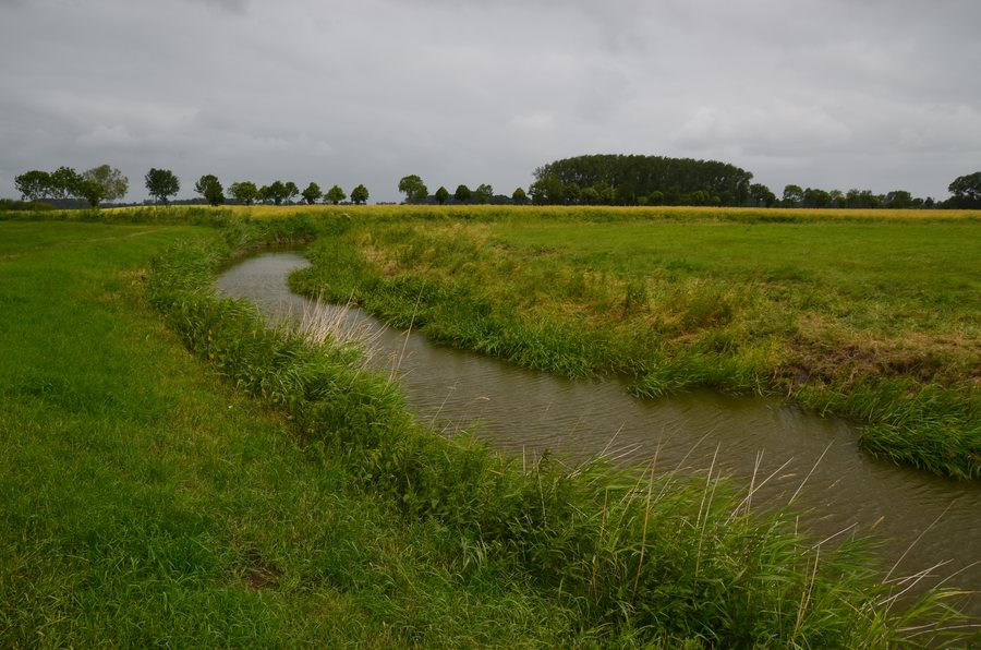 File:Drochtersen Krautsand Große-Räthe Juni-2018 02DSC 0988.JPG