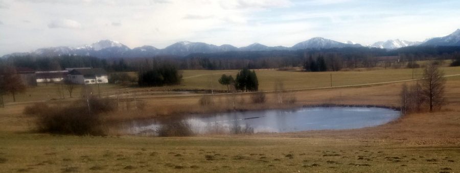 Teich am Ramseer Bach nahe Obersöchering im Landkreis Weilheim-Schongau