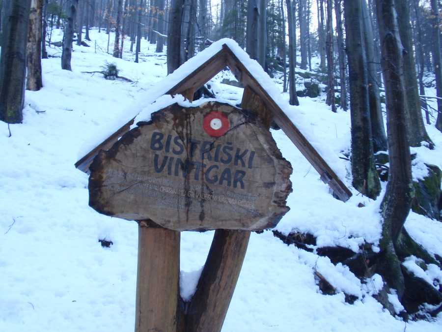 Gola Bistriški vintgar vicino a Slovenska Bistrica