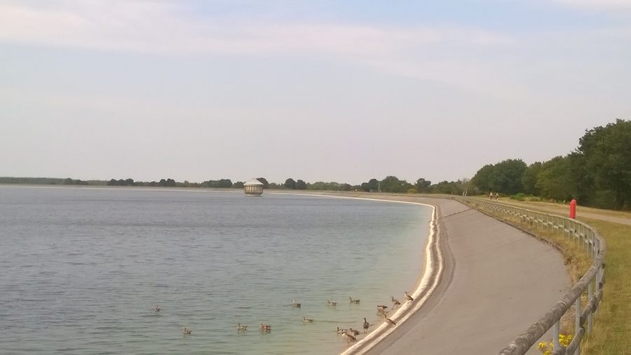 Speicherbecken Geeste mit Wasserfläche und Nilgänsen im Vordergrund