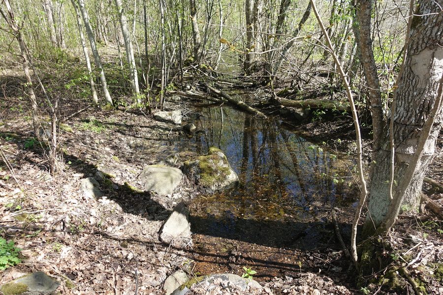 Il fiume Vihterpalu presso Vihterpalu