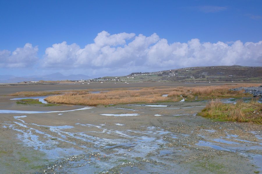 Foce del fiume presso Mochras, chiamata anche Shell Island