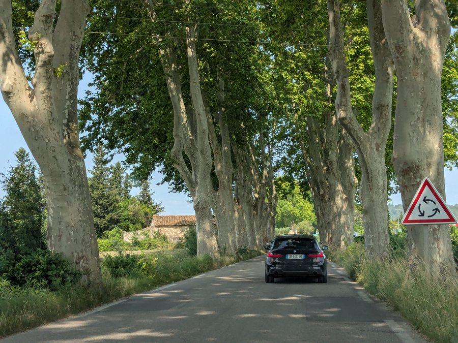 File:Montaren-et-Saint-Médiers - Route bordée de platanes (juin 2025).jpg