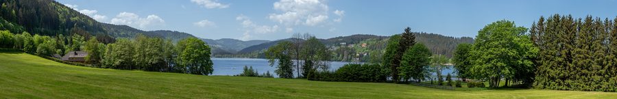 Seewiese am Titisee mit dem Feldberg im Hintergrund