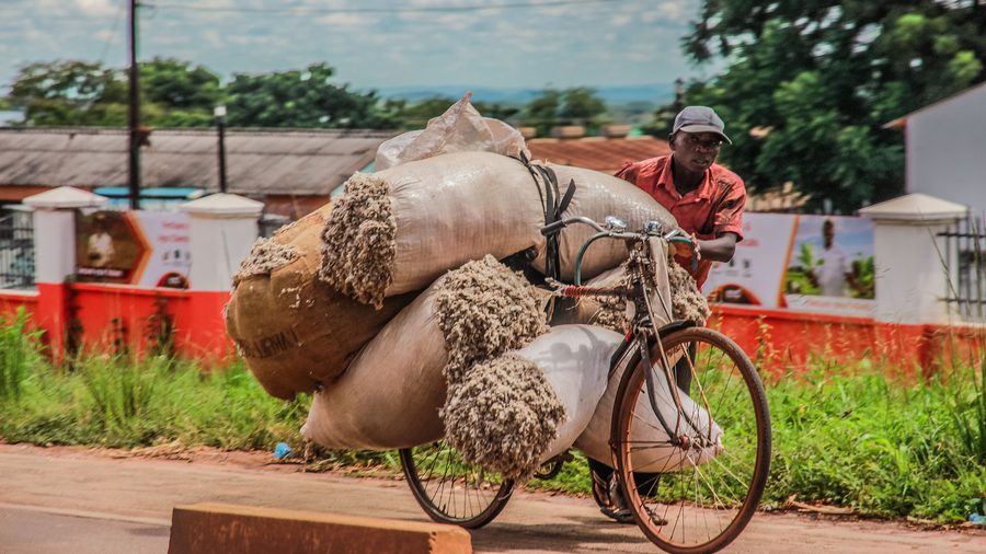 A bicycle carrying cotton on a road in Eastern Province, Zambia.