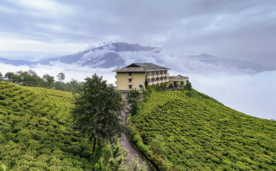 Landschaft im Temi Tea Garden bei Namchi, Sikkim