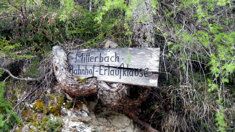 Cartello indicatore su una strada forestale verso la Erlaufklause nelle gole dell’Ötscher