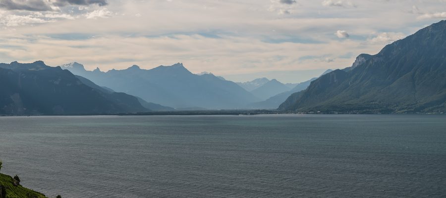 Vigneti terrazzati del Lavaux con vista sul Lago Lemano