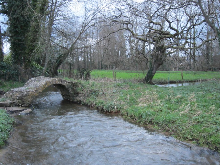 File:Saint-Germain-de-Tournebut - ruisseau de la Franqueterre.JPG