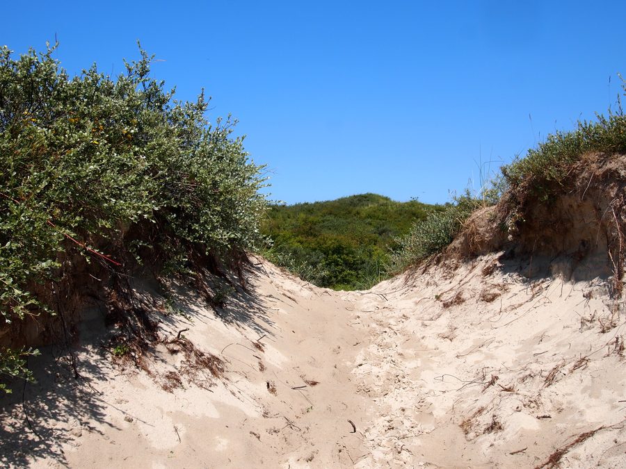 Paesaggio dunale nel parco nazionale di Schiermonnikoog