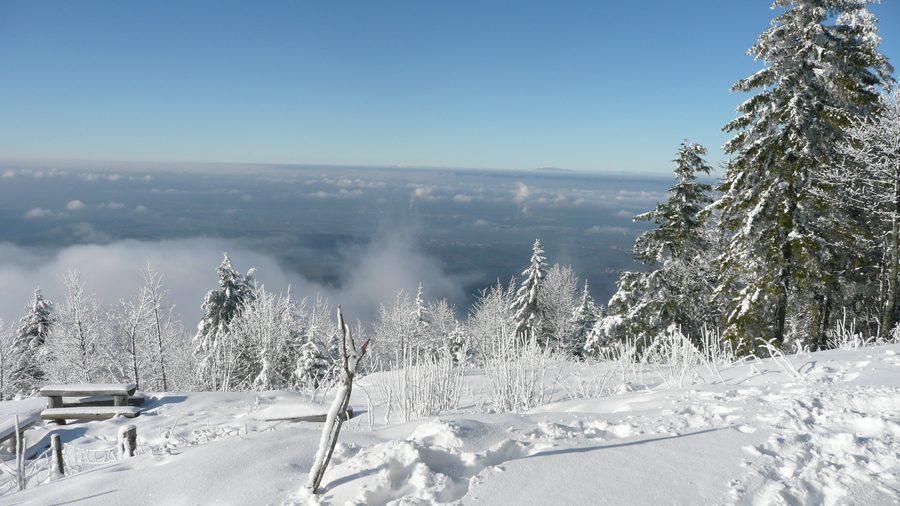 Berg Hochblauen im Schwarzwald bei Badenweiler