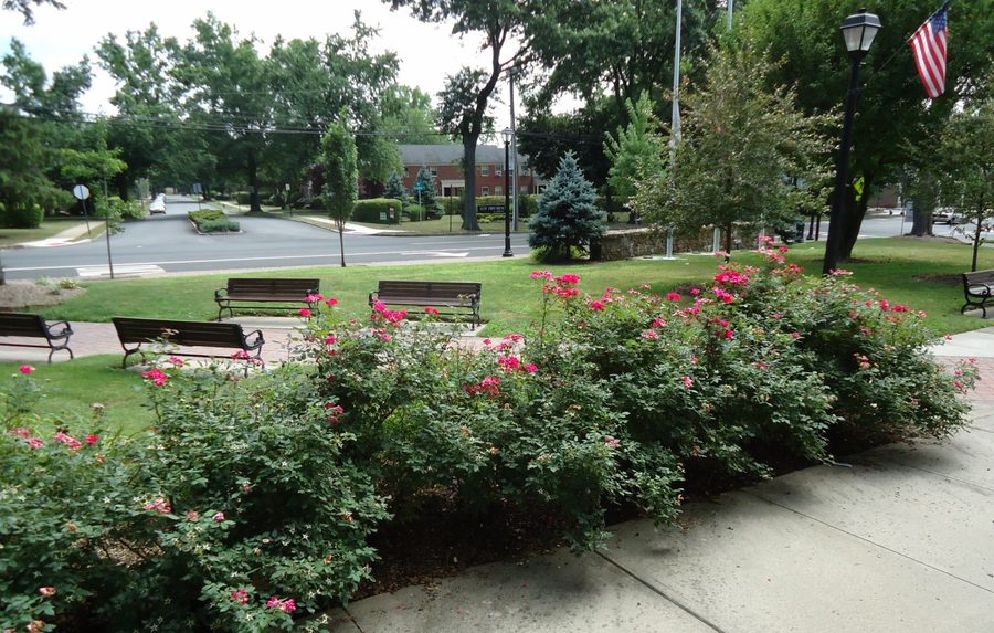 Parco memoriale con fiori rivolto verso Springfield Avenue a New Providence, New Jersey
