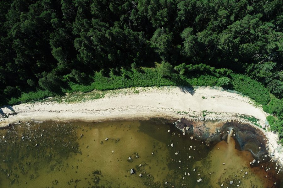 Luftaufnahme einer Dünenlandschaft im Lahemaa-Nationalpark in Estland.