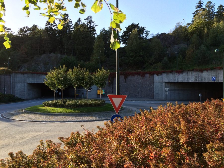 Foresta di Baneheia a Kristiansand, Norvegia