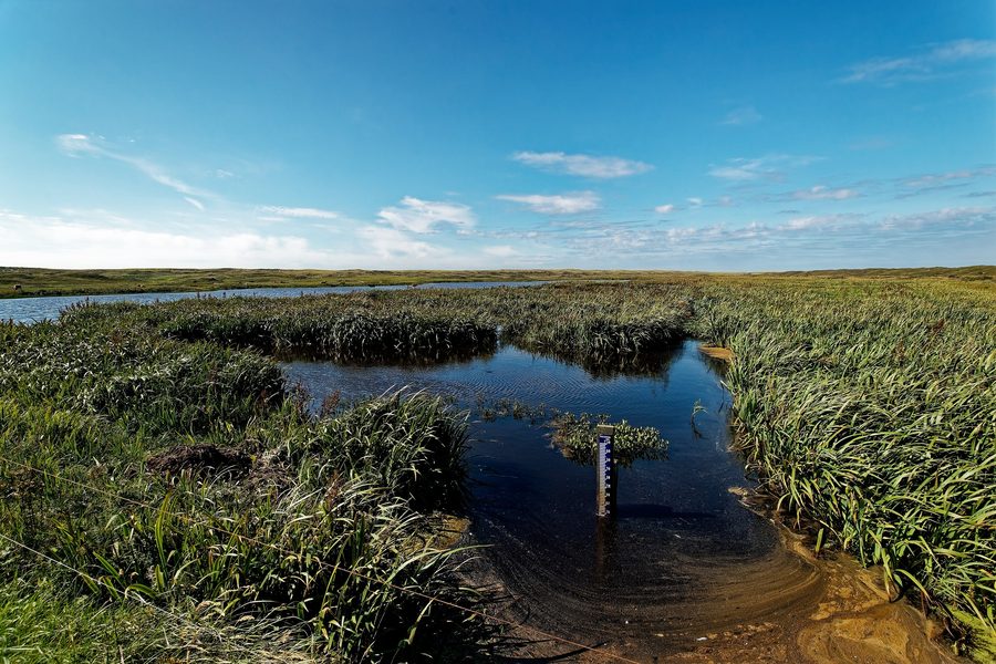 Paesaggio dunale nella riserva naturale De Bollekamer a Texel