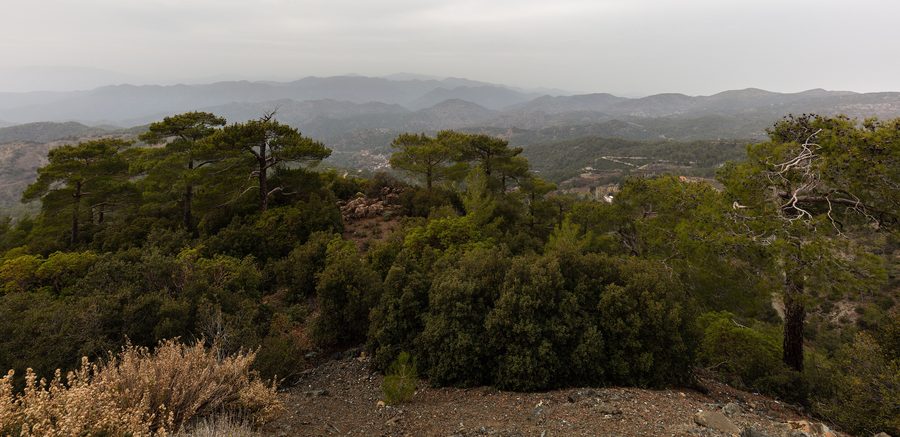 Weite Aussicht über die bewaldeten Bergzüge des Troodos-Gebirges auf Zypern.
