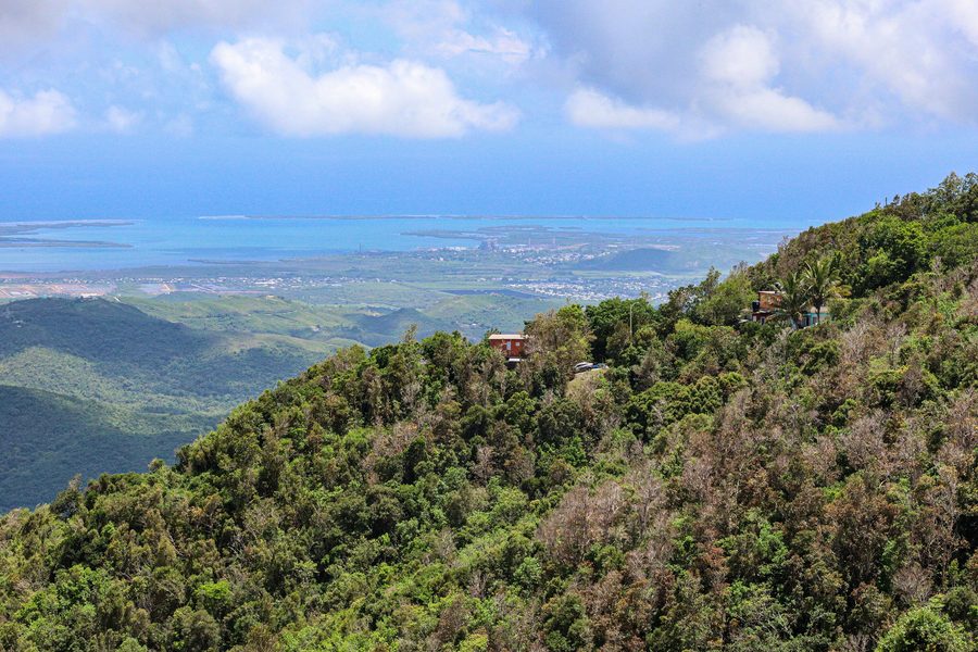 Aguirre und die Bahía de Jobos in Puerto Rico, aufgenommen von Cercadillo in Cayey