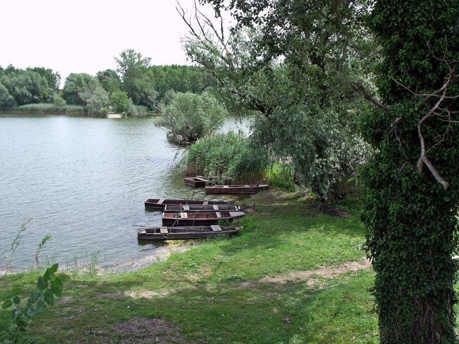 File:A faddi holt Duna-ág I. - panoramio.jpg
