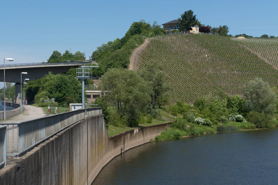 Vigneti vicino allo sbarramento di Schoden