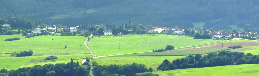 Waldlandschaft bei Daxweiler im Soonwald-Hunsrück