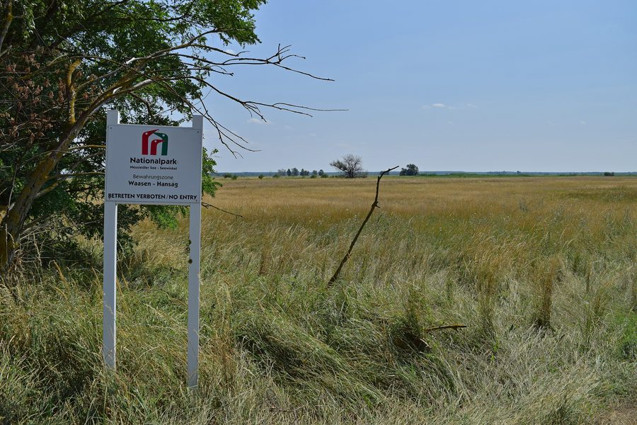 Offene Landschaft der Bewahrungszone Waasen-Hanság im Nationalpark Neusiedler See–Seewinkel