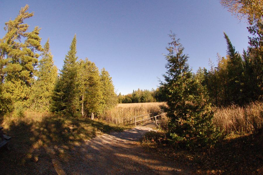 Paesaggio a Kawartha Lakes, Ontario, Canada
