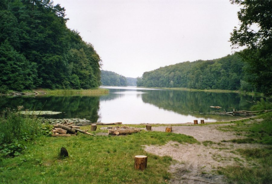 Gamensee nel ricco paesaggio lacustre del Gamengrund con riva boschiva