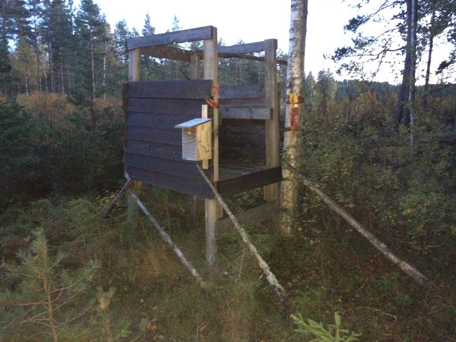 File:Jakttorn Åmål Storspåret.jpg