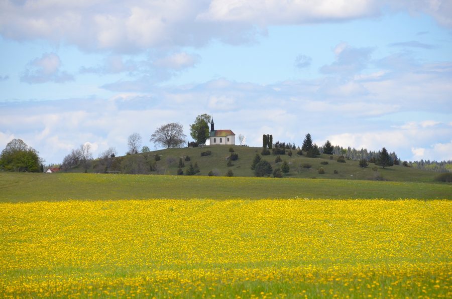 Prato di ginepro con la cappella di San Wolfgang sullo Scheibenbühl presso Obernheim