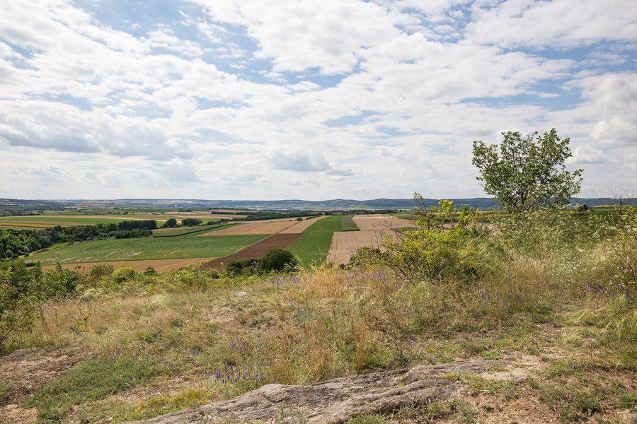 Vista panoramica su Pulkau dall’Altenberg nel Weinviertel